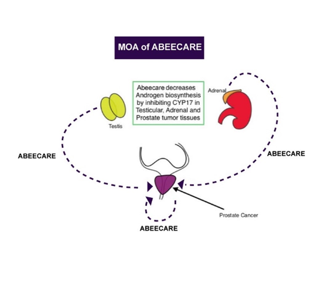 Mechanism of Action Diagram